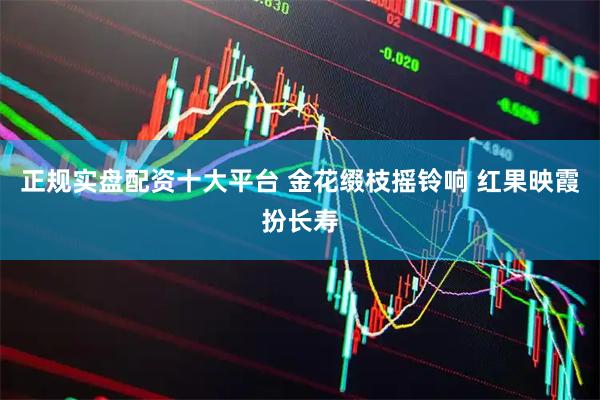 正规实盘配资十大平台 金花缀枝摇铃响 红果映霞扮长寿