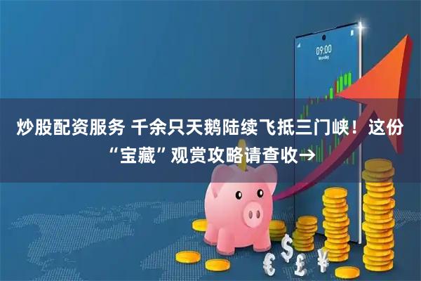 炒股配资服务 千余只天鹅陆续飞抵三门峡！这份“宝藏”观赏攻略请查收→